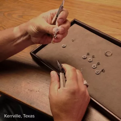 JamesAvery_BloomingDaisies_col_VID.webp