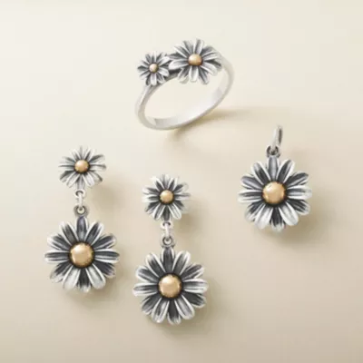 JamesAvery_BloomingDaisys_col.webp