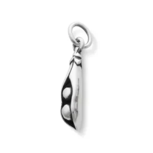 Two Peas in a Pod Charm