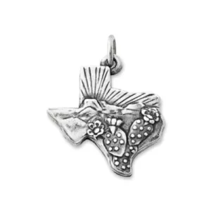Texas Landscape Charm