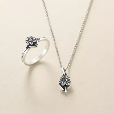 JamesAvery_MiniDaisy-SS_col.webp
