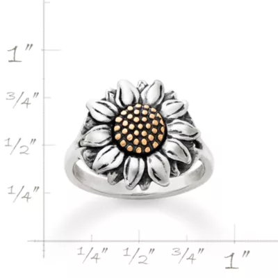 JamesAvery_RG-1971-665640_rul.webp