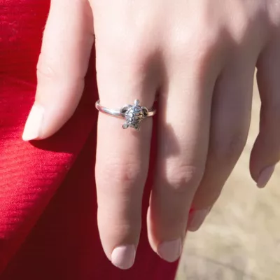 JamesAvery_RG-1974-988904_IGC.webp