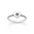 Amethyst (February)