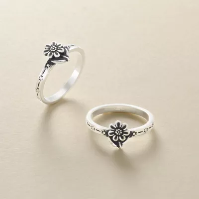 JamesAvery_RG-2031-581731_altS.webp