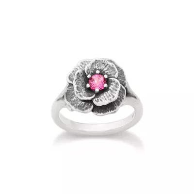 JamesAvery_RG-2110-327009.webp